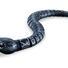 Змея с пультом управления ZF Rattle snake (черная) - фото 1
